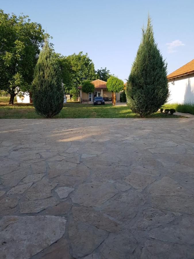 Vikendica Lesic Villa Cortanovci Bagian luar foto